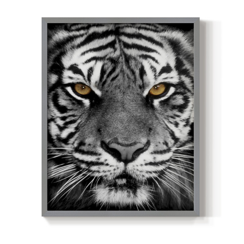 Golden Eyes Framed Print - Solid Wood, Gray, 21" H x 17" W