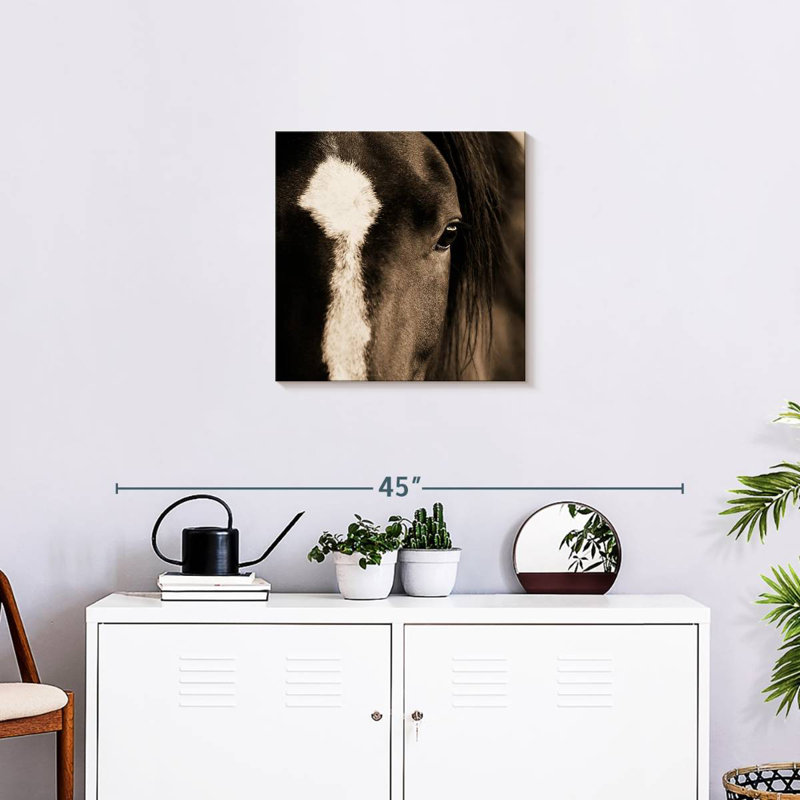 Brampt Dark Eyes, 20'' H x 20'' W