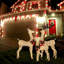 3 Piece Deer Family Lighted Display Set