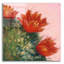 «Blooming Succulent IV» par Carol Rowan-1152967582