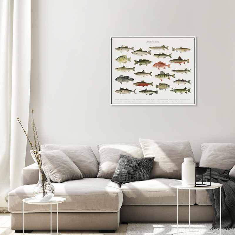 " American Fish " Painting Print, 24" H x 20" W, White Framed