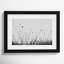 Autumn Grasses by Aledanda-119930914-119930913