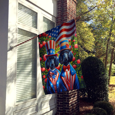 Drapeau «All American House»