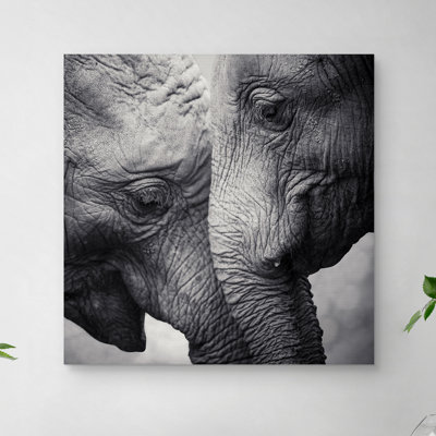 " Nose To Nose " by Belle Maison
