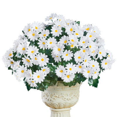 Daisy Arrangement in Jar