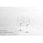Nektar Wine Glass-1109659583