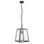 1 - Light Matte Black Lantern Pendant