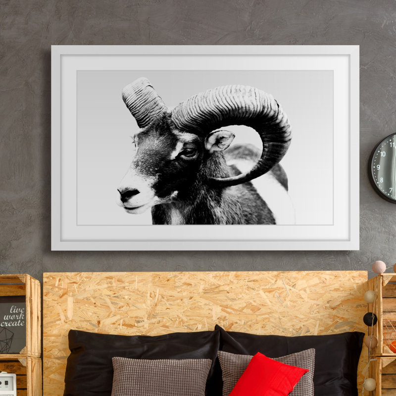 Single Picture Frame Painting, 61cm H x 91cm W
