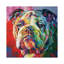 Bulldog 1 Piece Wrapped Canvas Painting-38754202