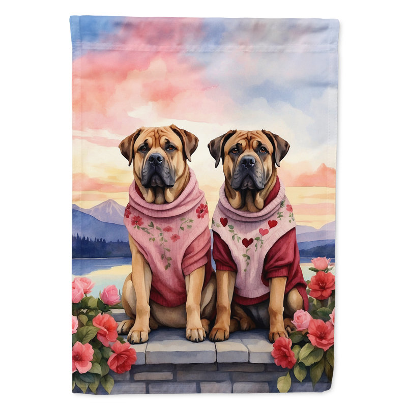Double Sided 40'' H x 28'' W Polyester Valentine's Day House Flag