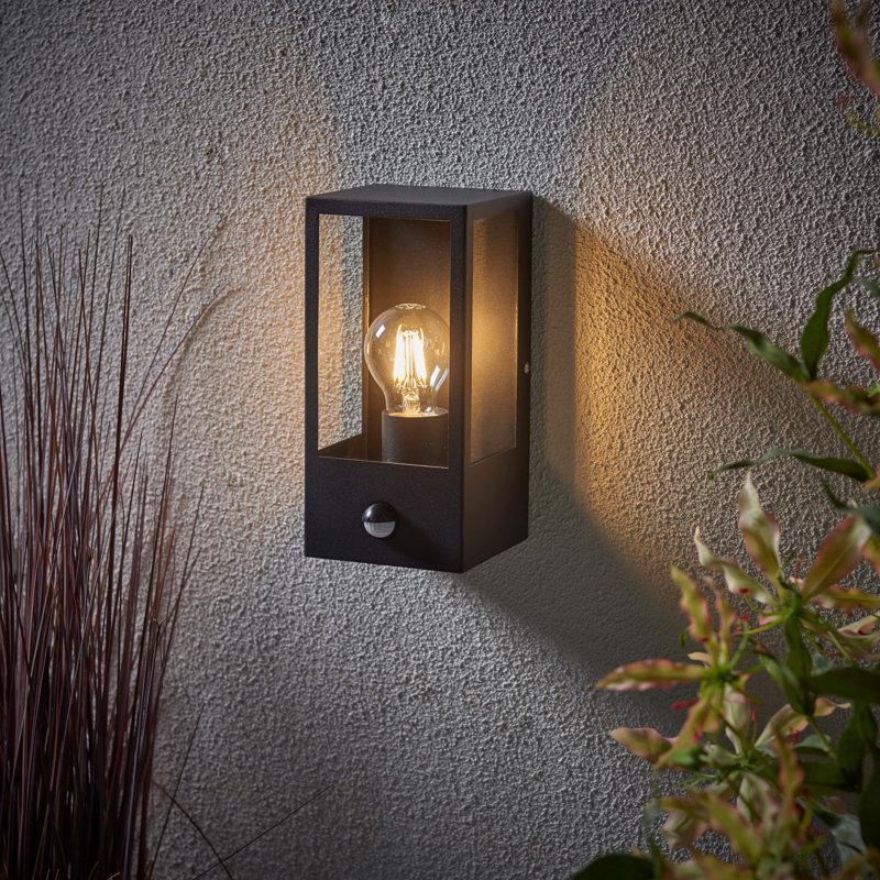 Hudnall 23.8cm H Outdoor Wall Lantern