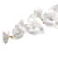 Tulip Orchid Stem-22694677