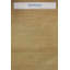 Moroccan Rugs One-of-a-Kind Rectangle 5'9" X 10'1" Area Rug