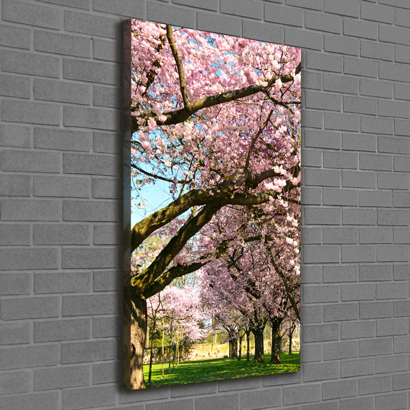 Cherry Trees - Wrapped Canvas Print