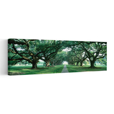 Brick Path Through Alley Of Oak Trees, New Orleans, Louisiana,  Abstract Contemporary Forest Landscape Wall Art