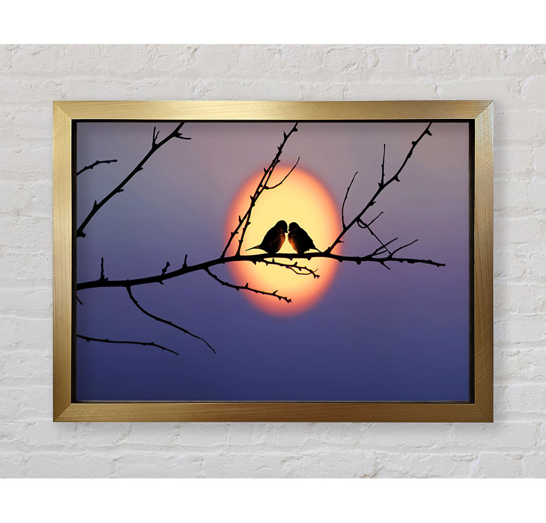 Love Bird Sunset - Einzelner Bilderrahmen Kunstdrucke