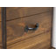 Broussard Blanket Chest