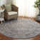 Oriental Light Gray/Ivory Area Rug