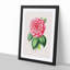 Pink Japanese Camellia Illustration - Picture Frame Painting Print-55584090-55584091