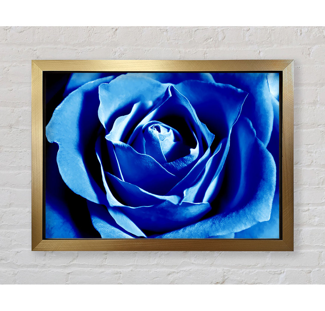 Gerahmtes Leinwandbild Blue Rose Petal