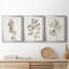 Neutral Botanical Study I - Ensemble de 3 impressions sur toile encadrées-1192051502-1192051503