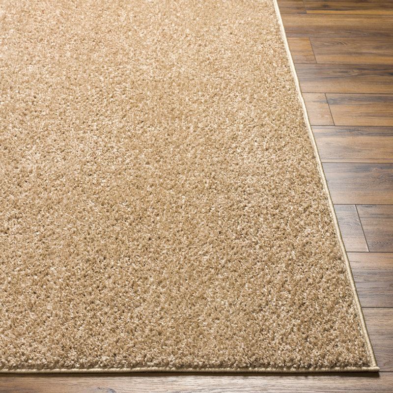 Aminna Indoor Rug, Runner 2'7" x 9'10"