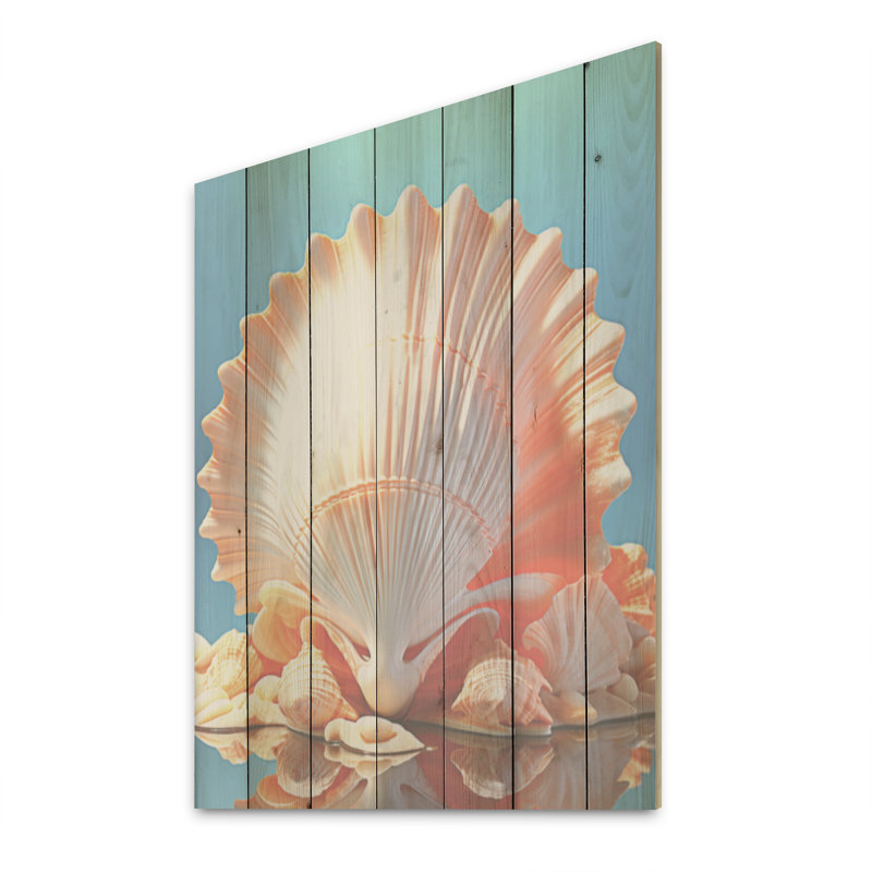 Opulente coquille symbolique - coquillage sur bois de pin naturel, H 32 po x l 24 po