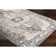 Addisyn Machine Woven Oriental Charcoal Area Rug