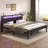 King Metal Platform Bed with 2-tier shelves, RGB LED Light, Charging Station, Easy Assembly, Black-695905257-696071610