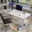 Bureau Waltman-885905989-894766203