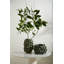  Vase Madelyn-2340616
