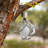 Solar-powered Openwork Ball Wind Chime Light