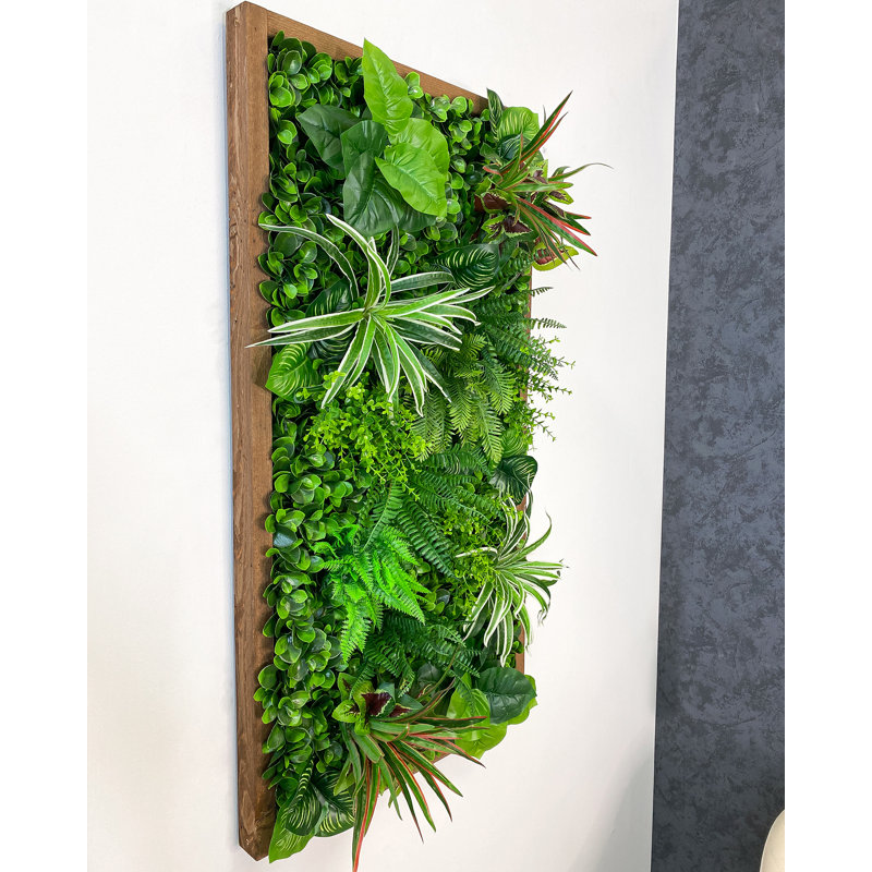 106cm Plant, Brown