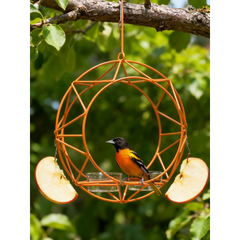 Mangeoire en forme de soleil pour l'extérieur Oriole Baltimore