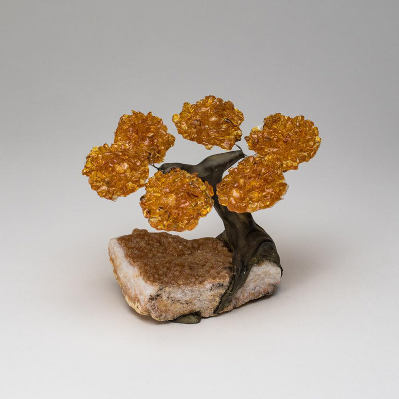 Petit arbre à pierres précieuses en grappe de citrine sur une citrine (l'arbre apaisant)