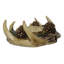 Porte-bougie en bois de cerf Antler