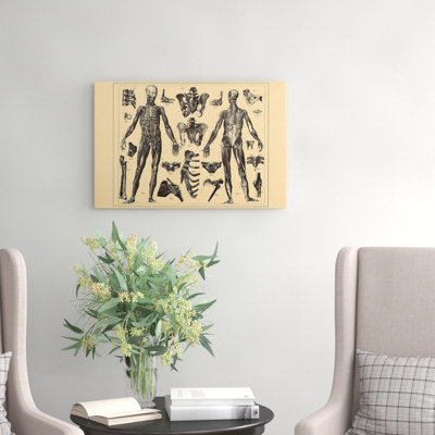 Encyclopedia Human Biology Skeleton - Wrapped Canvas