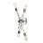 Nebraska 4 Light Wall Sconce-90954649