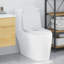 Toilet Seat Duroplast Modern Accessory Bathroom Fixture Indoor Sanitary-1914724021