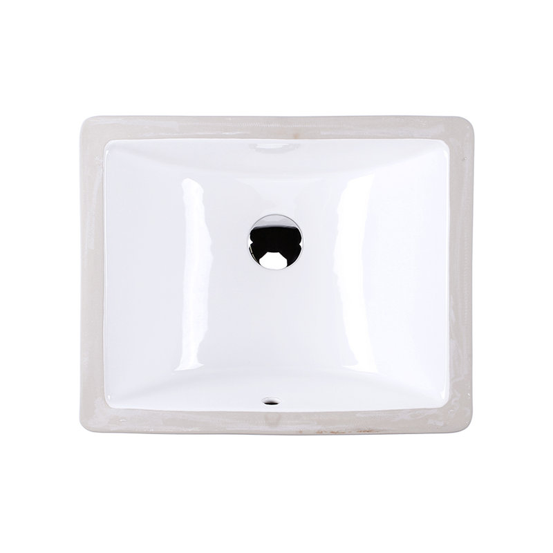 Spring 19.25'' L Bathroom Sink, White