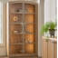 Avaline Scribe Lighted China Cabinet-299418484