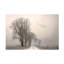 «Winter Light 1» par Lou Urlings - reproduction de photo sur toile tendue-187084678