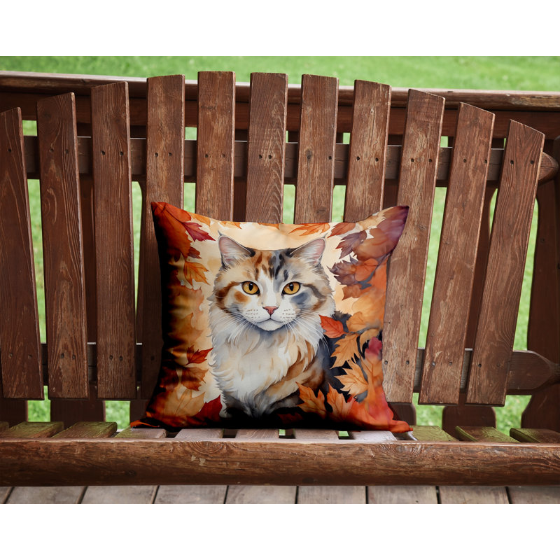 Coussin American Curl, Carré 14 po