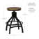 Cassiah Swivel Adjustable Height Counter Stool with Metal Frame