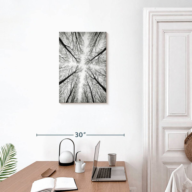 Harnek Monochrome Bare Trees, 24" H x 16" W