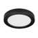 Speidel LED Flush Mount