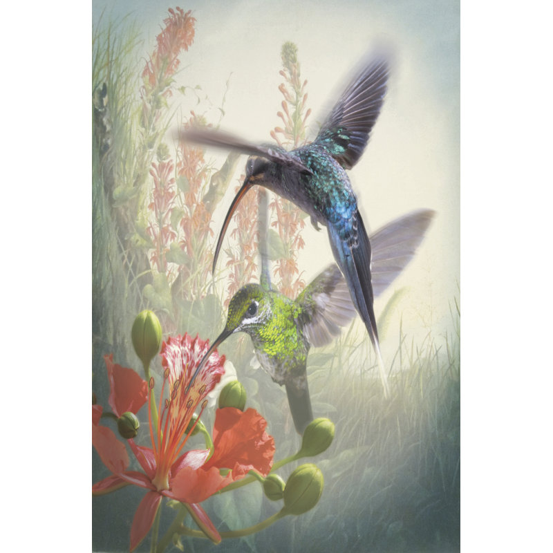 Hummingbird Cycle I by Steve Hunziker - Wrapped Canvas Print, 122cm H x 81cm W x 3.8cm D