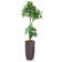 Panama 46.25'' Faux Pachira Aquat Tree in Planter