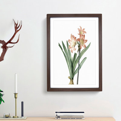 Amaryllis Flowers In Pink by Pierre-Joseph Redoute - Single Picture Frame Painting