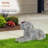 Ariyanna Dog Stone Garden Statue